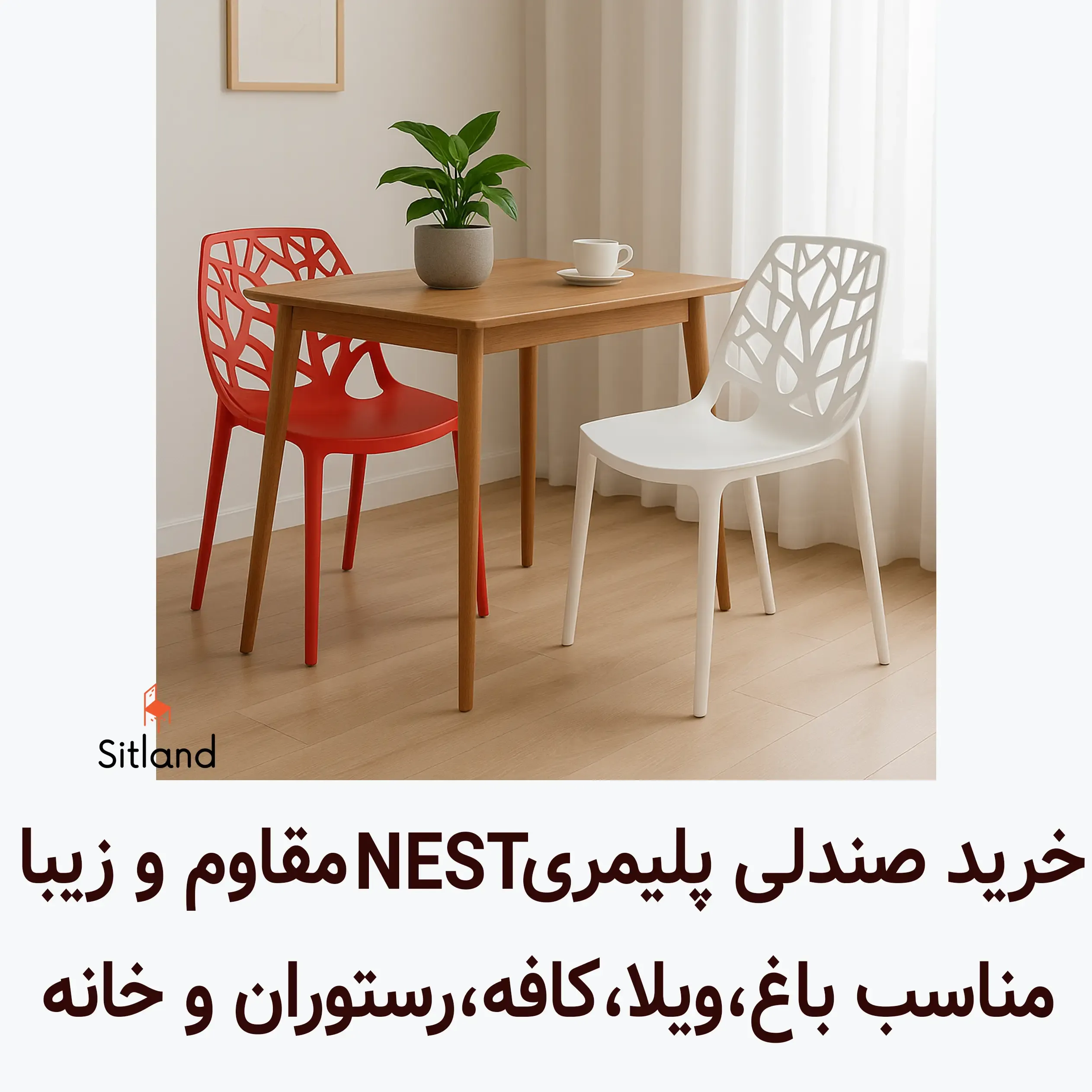 قیمت و خرید بهترین صندلی پلاستیکی مدل NEST | مقاوم و شیک و مدرن | فروشگاه آنلاین سیتلند