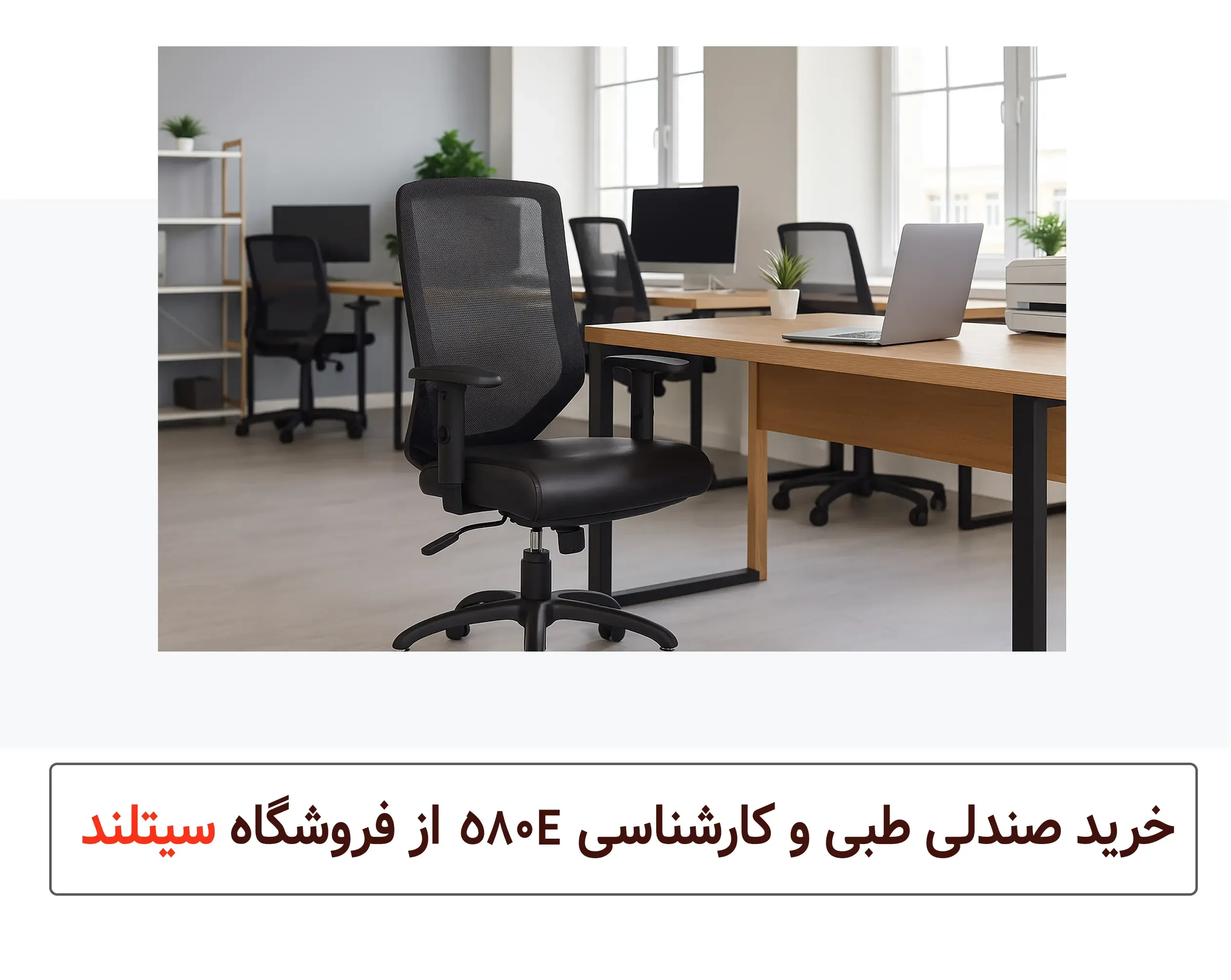 صندلی اداری پشت توری | صندلی چرخدار طبی و ارگونومیک | دارای تنظیمات کامل | فروشگاه سیتلند